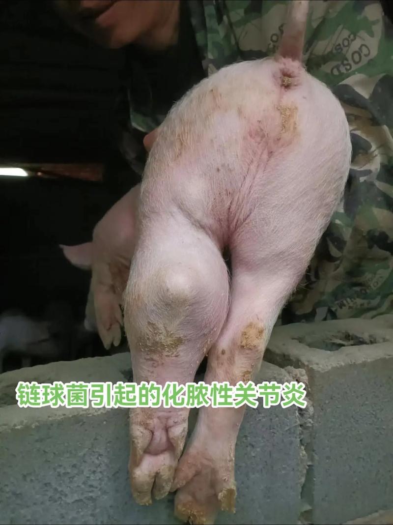 微信圖片_20251029094502.jpg