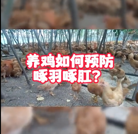 截圖20251030091050.png