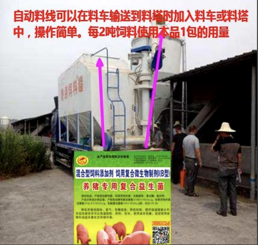 c0a03d84-8563-4f06-af84-08a530a3d240.png