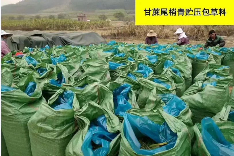 截圖20251128094444.png