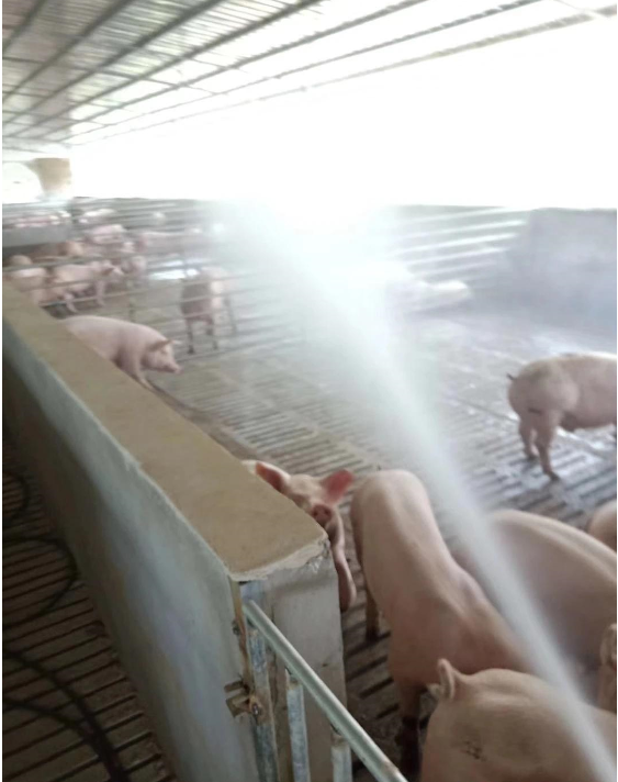 截圖20251205093949.png