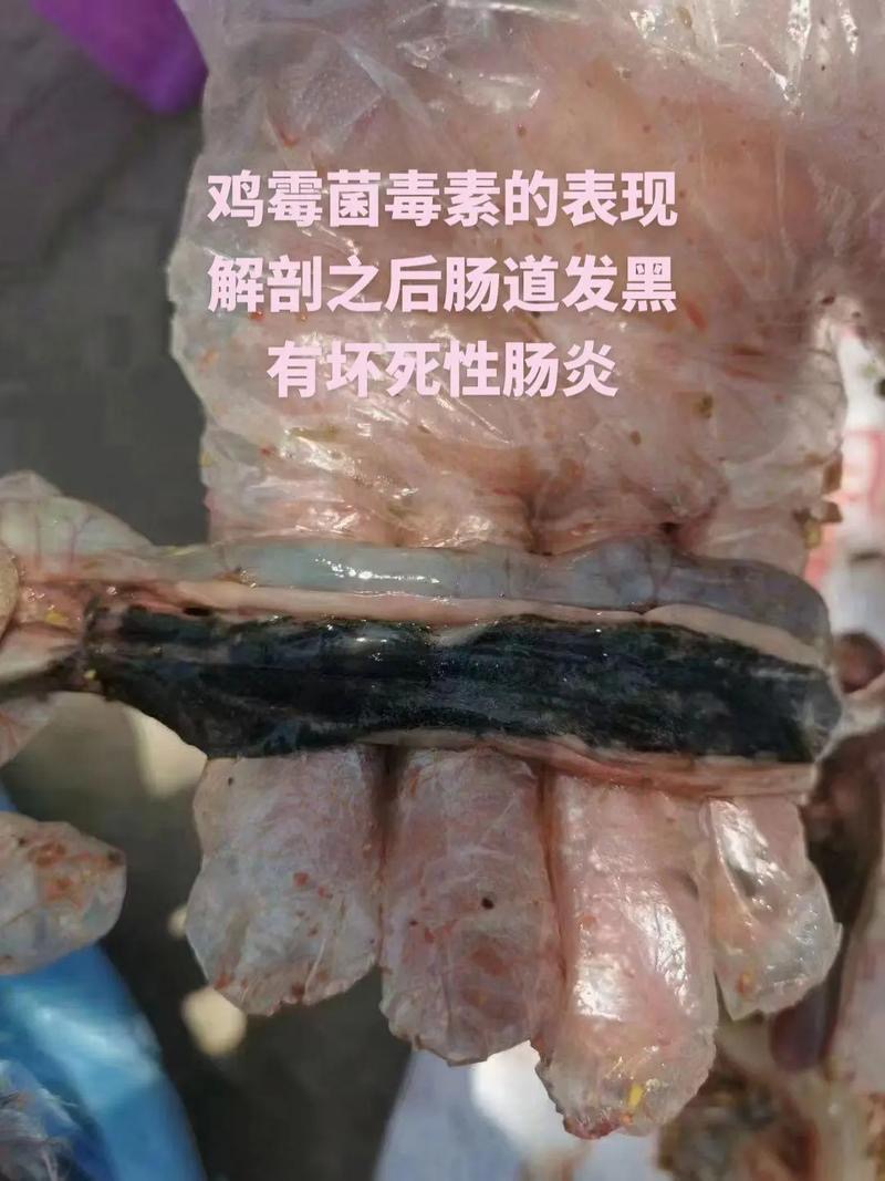 微信圖片_20251212102940.jpg