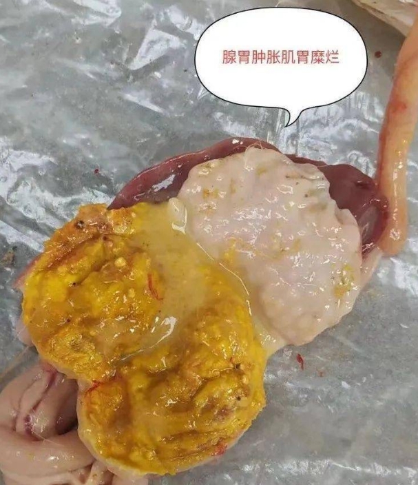 微信截圖_20260106102240.jpg
