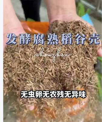 截圖20260124093109.png