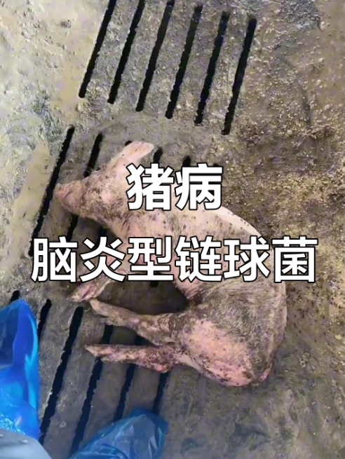 微信截圖_20260126091759.jpg