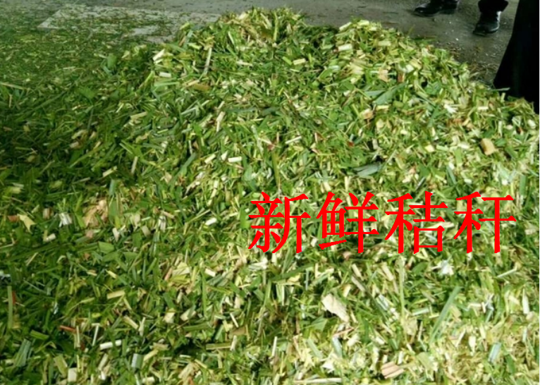 截圖20260205101151.png