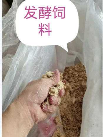 截圖20260206100304.png