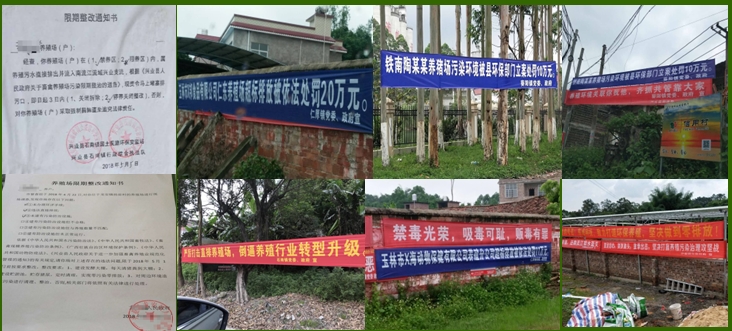 環(huán)保處罰.jpg