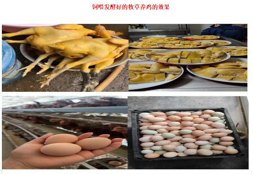 4db3ae99a5cc8c7ff9a4070dff64f4a7.png