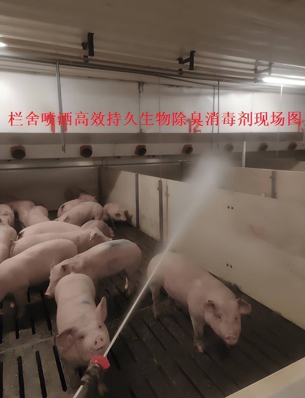 微信圖片_20260303104720.jpg