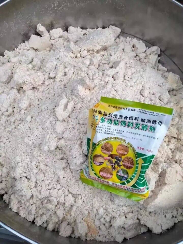 微信圖片_20260305100254.jpg