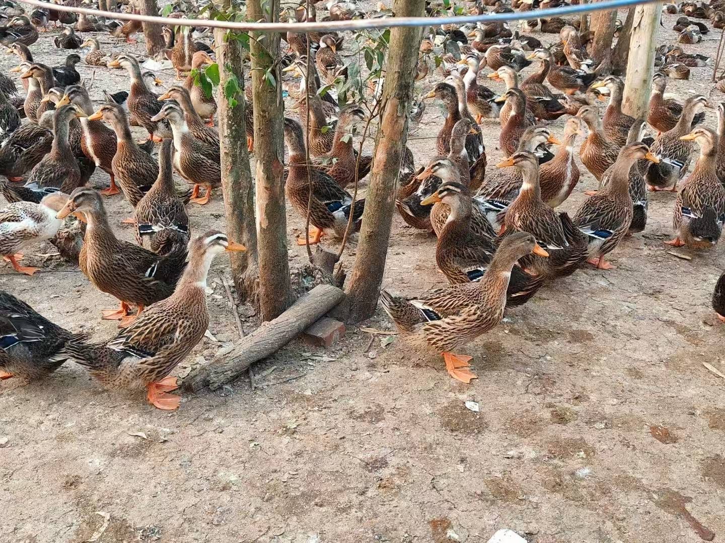 微信圖片_20260306101449.jpg
