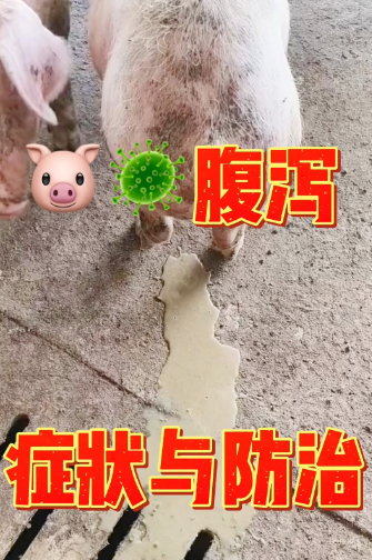 截圖20260309092030.png