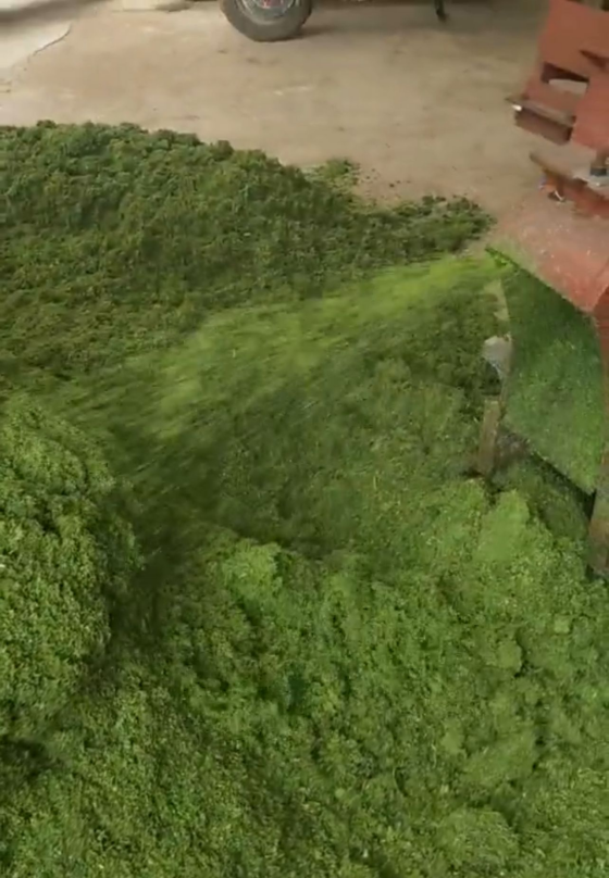 db37f02a132eae0829e08b93f8135ce0_17314827258004576.png