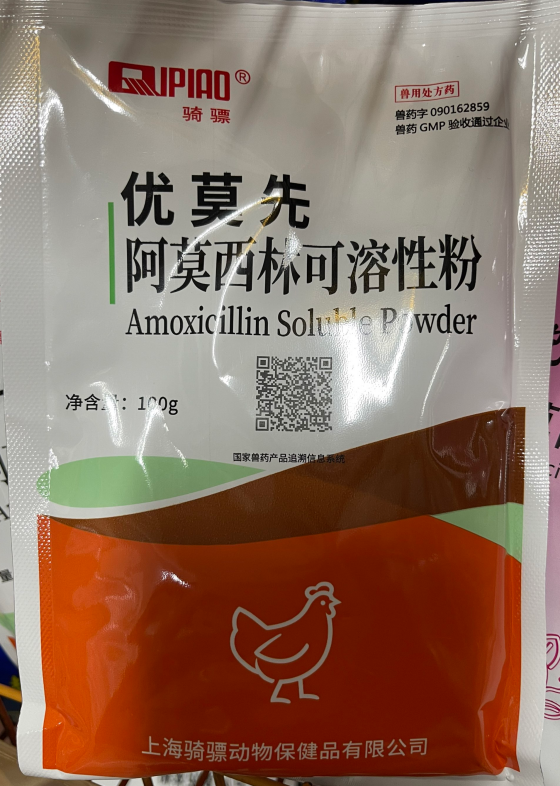 67D47A87F109DDCC1BC18BD2B5388D12.png