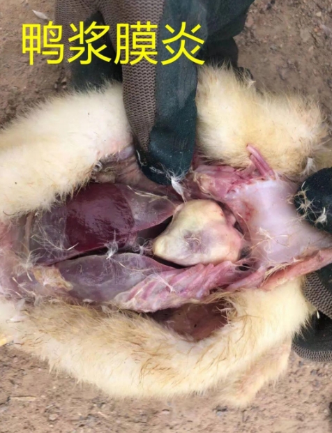 微信截圖_20260311091837.jpg