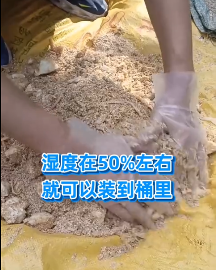 截圖20260311092256.png