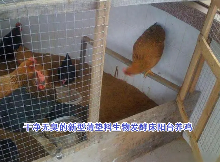 微信截圖_20260312093943.jpg