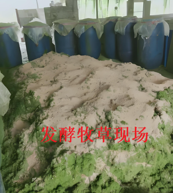 7e0e308f526312c44e38d457be973826_17301308067385359.png