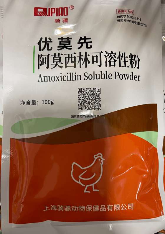 A0A16E4B55431FF6977C26EF0A35000F.png