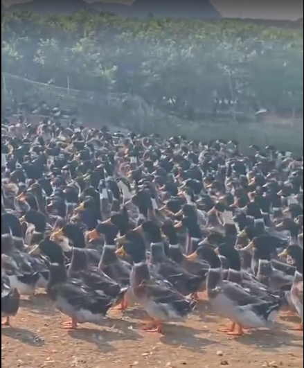 截圖20260319085438.png