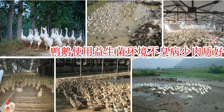QQ圖片20260319111412.png