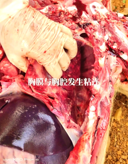 微信截圖_20260325100016.jpg