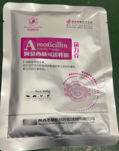 c3e941f1-c219-4d02-8f8c-e6ba016a8e58.png