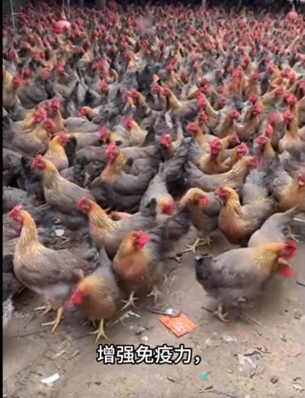 截圖20260326093849.png