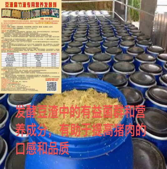 QQ_1774619219775.png