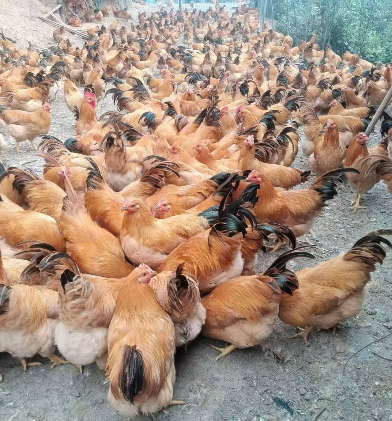 c2ca07ae70af17204db6efa0833e52df_720.jpg