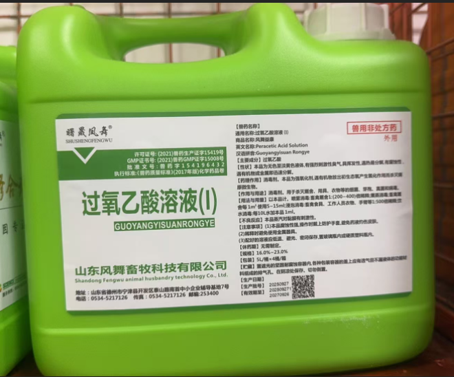 d5032887-3d75-4743-86ea-338f872b51ed.png