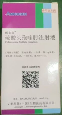 a16cb173-ee85-4353-a0c6-ec1717728bf7.png