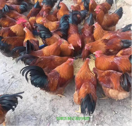截圖20260401145949.png
