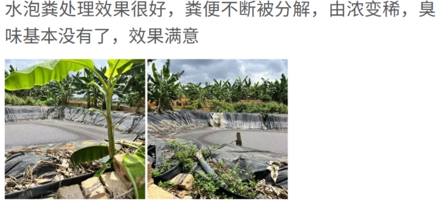 客戶(hù)對(duì)高效率污水生物處理活菌劑（養(yǎng)殖場(chǎng)污水生物處理劑）效果好評(píng)如潮2.jpg