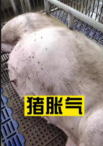 截圖20260413152938.png