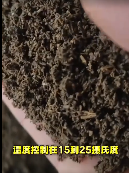 截圖20260422095028.png