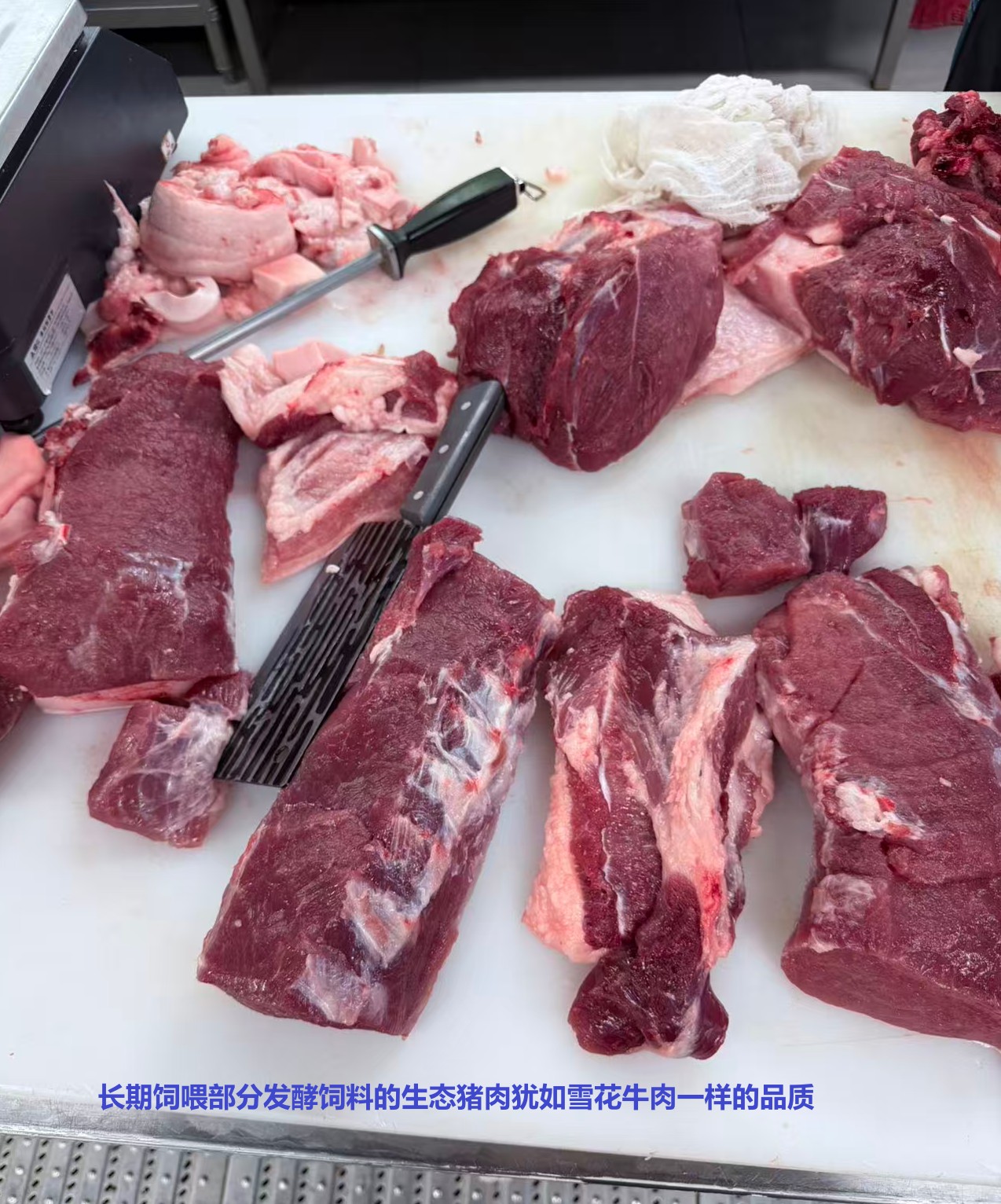 長(zhǎng)期飼喂部分發(fā)酵飼料的生態(tài)豬肉猶如雪花牛肉一樣的品質(zhì).jpg
