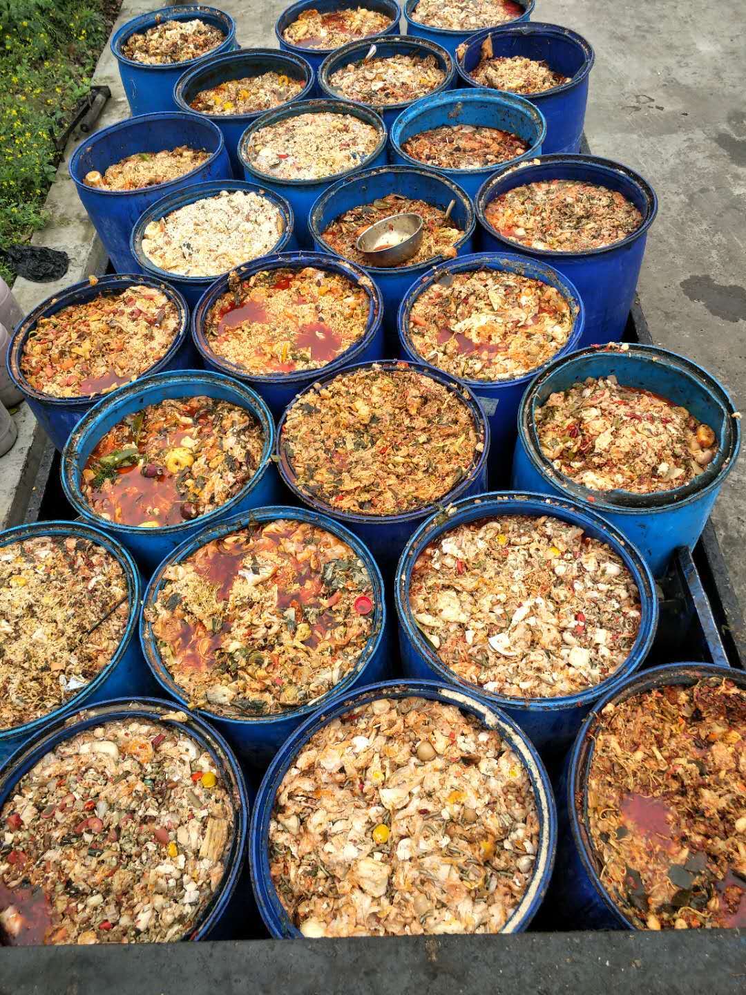 17744078139169127.jpg