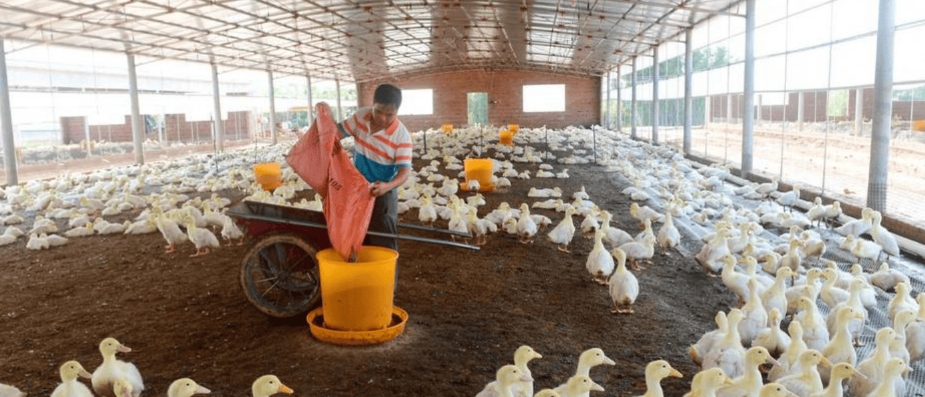 17391556991818860.jpg