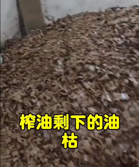 截圖20260424091746.png