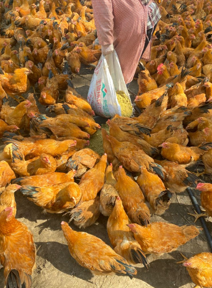 QQ圖片20250402112444.png