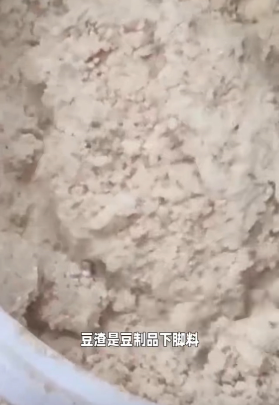 11D11E04F36437746B9041A7115E324D_副本.png