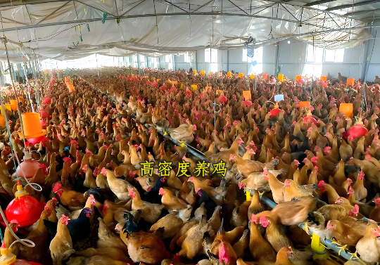 QQ圖片20260519141219.png