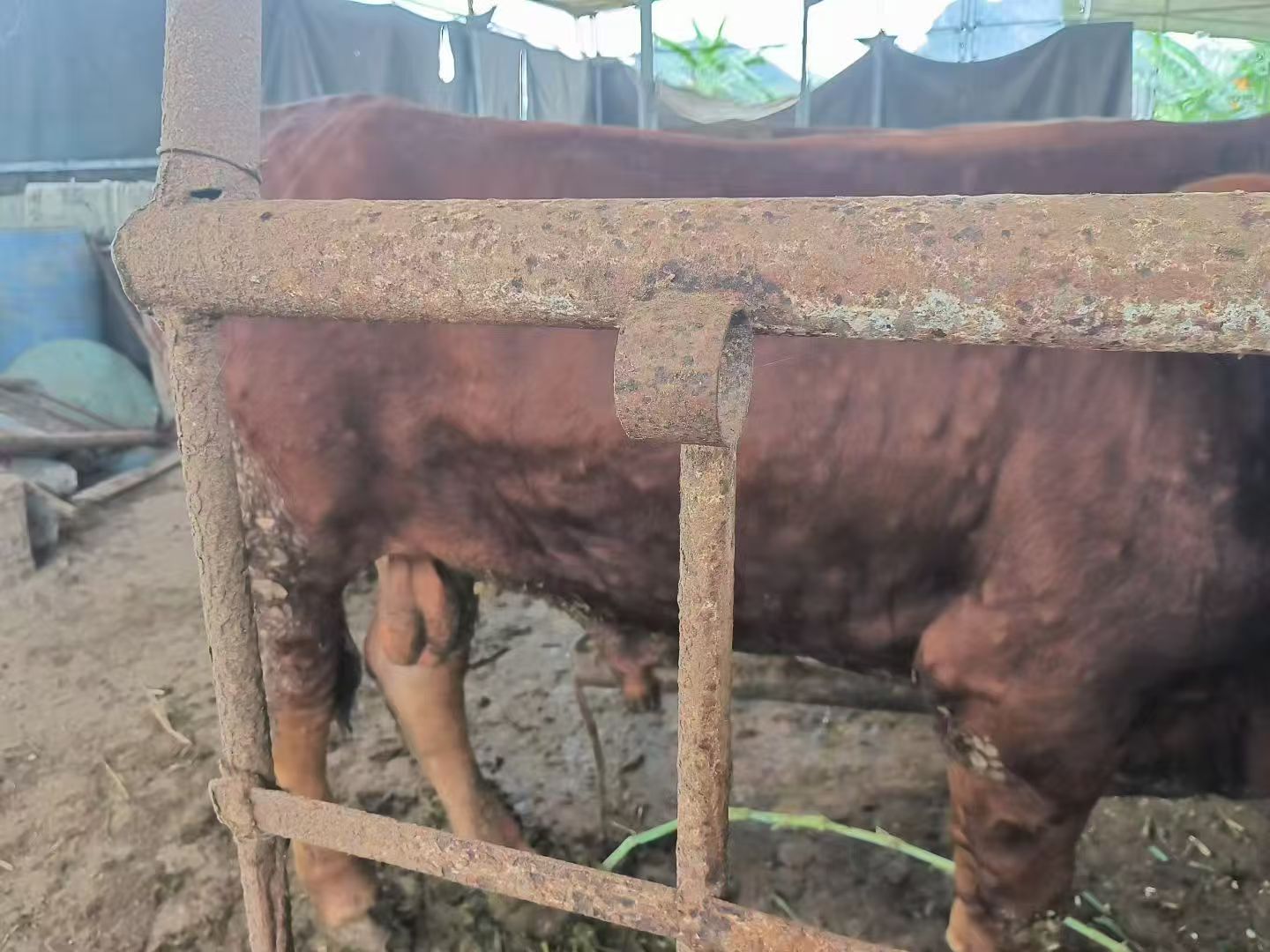 微信圖片_20260521155300_94_203.jpg