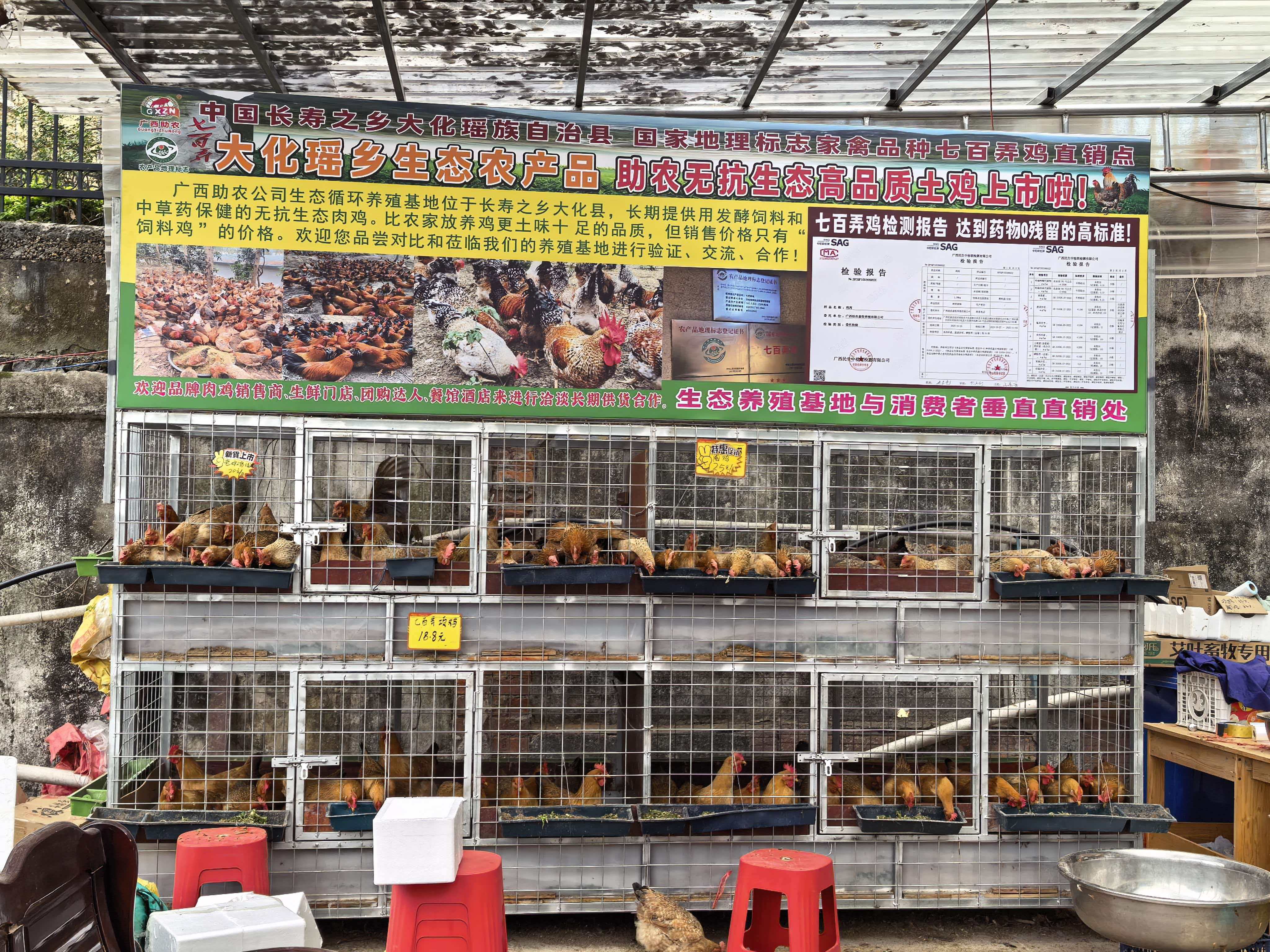 發(fā)酵飼料肉雞銷(xiāo)售點(diǎn).jpg