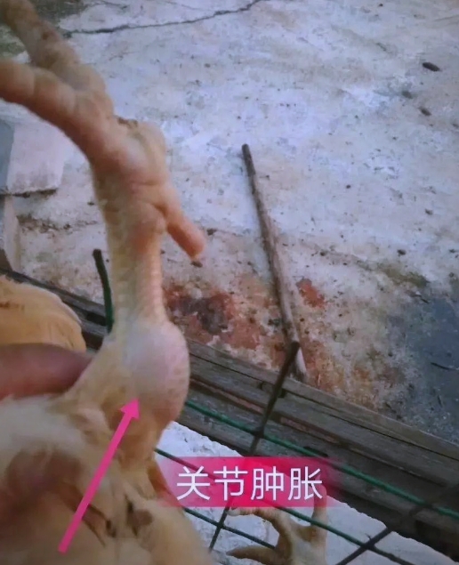 微信截圖_20260706092122.jpg