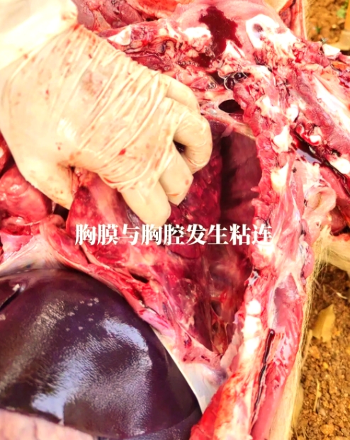 微信截圖_20260810091627.jpg