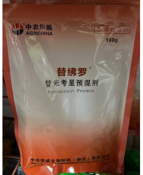 QQ圖片20260121101054.png