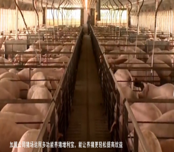 QQ瀏覽器截圖20260811005528.png